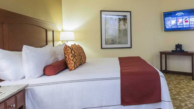 Cypress Suite